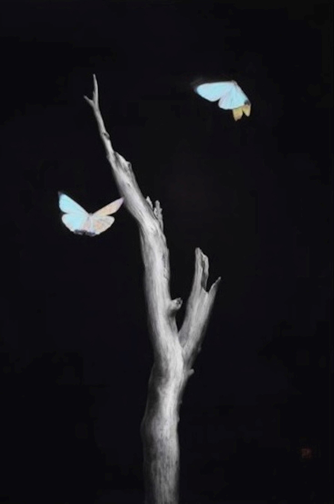 This World