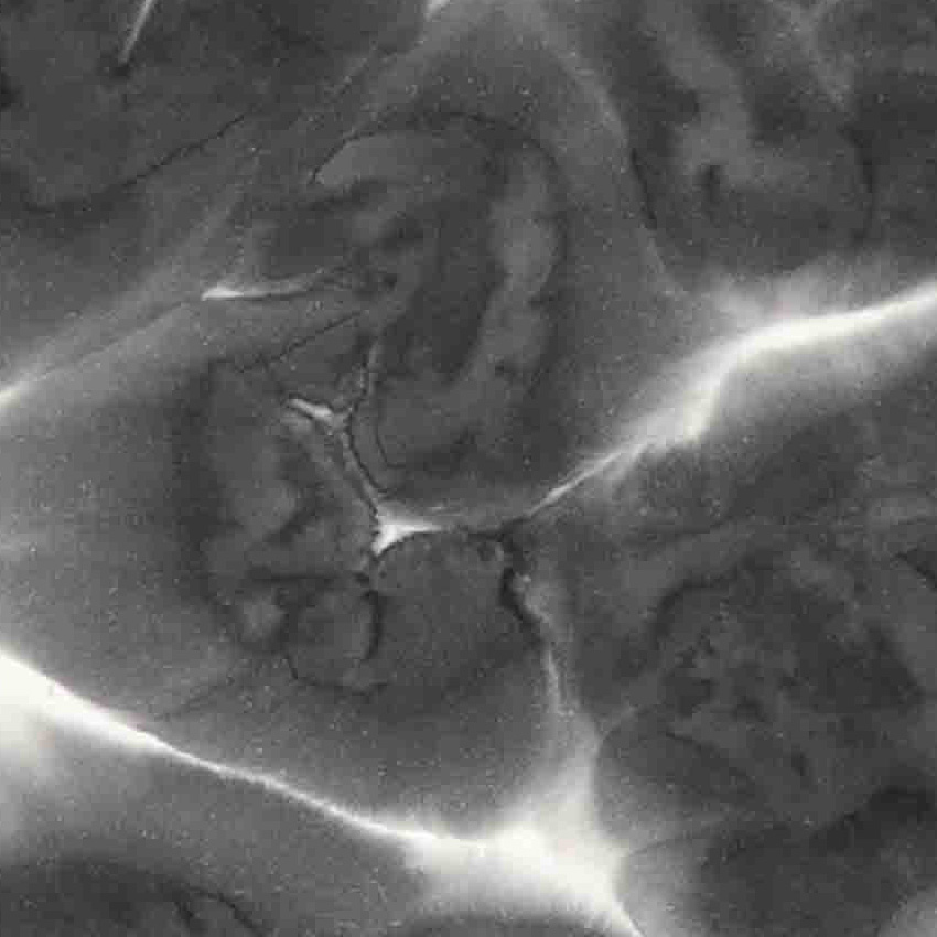 「『止まっていた時間が動き出した 』～日日日・・・」深掘りポイント