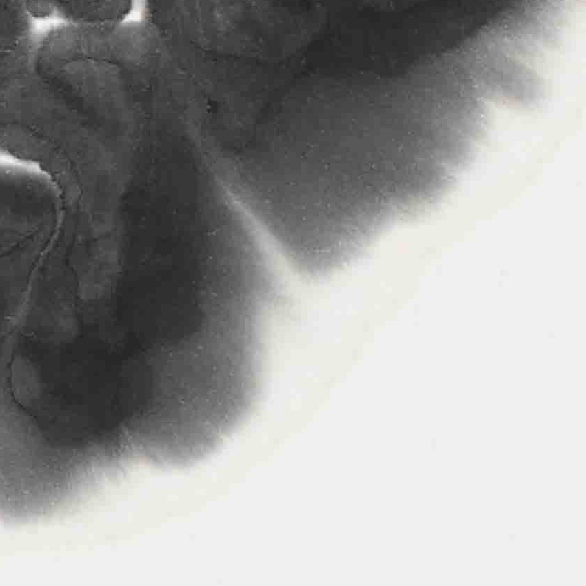 「『止まっていた時間が動き出した 』～日日日・・・」深掘りポイント