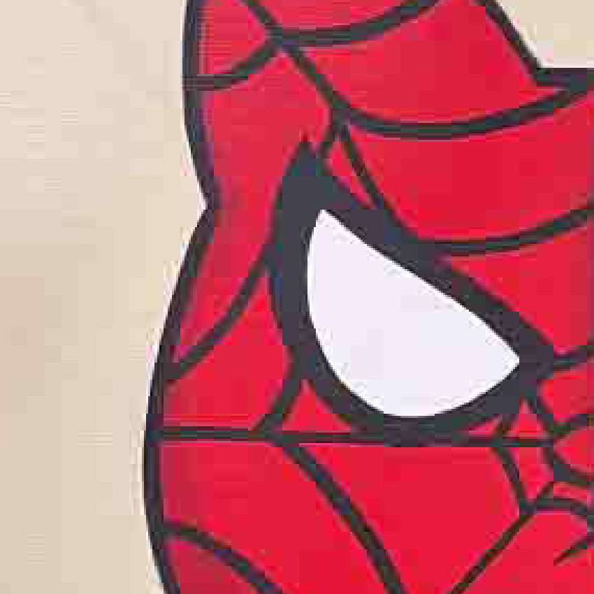 「KOUUN NEKO 50:50（SPIDERMAN）」深掘りポイント