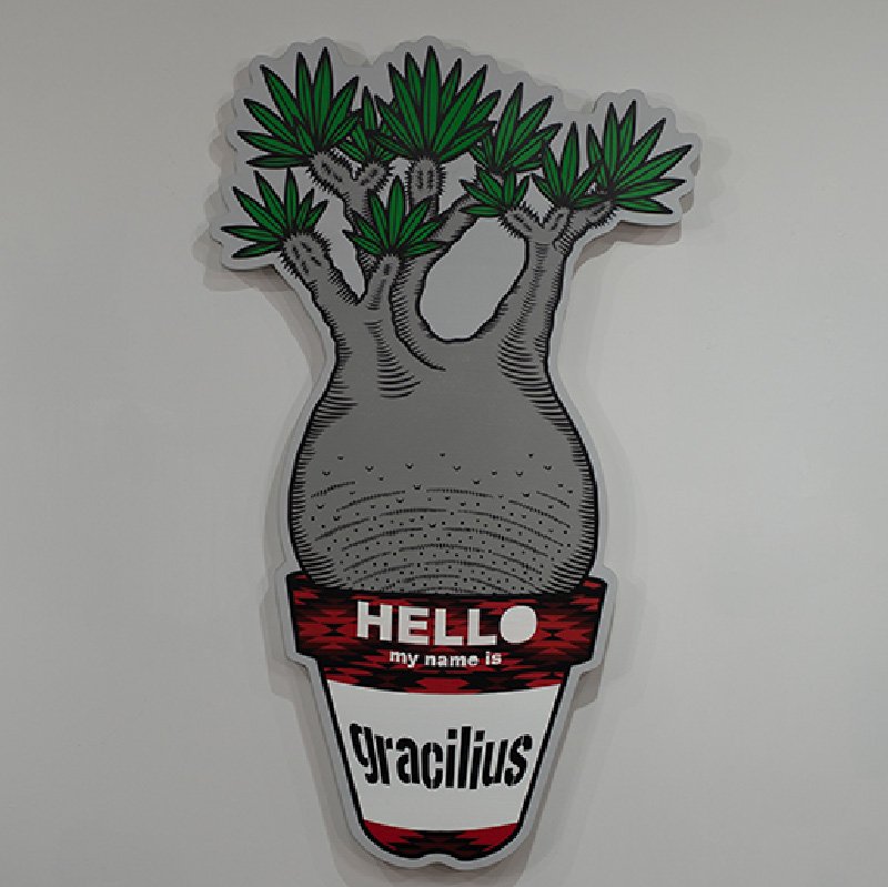 gracilius #1(2025年)