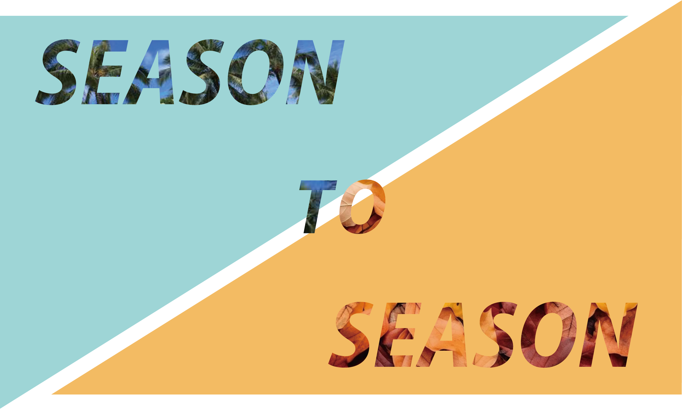 season to season_web