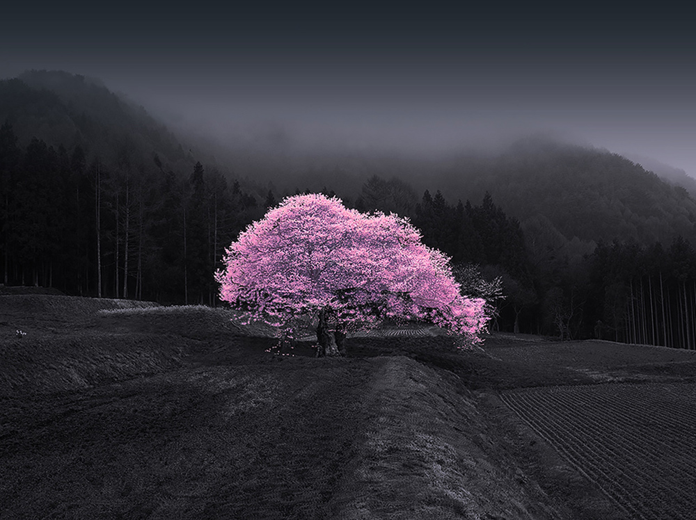 「Happy Loneliness」