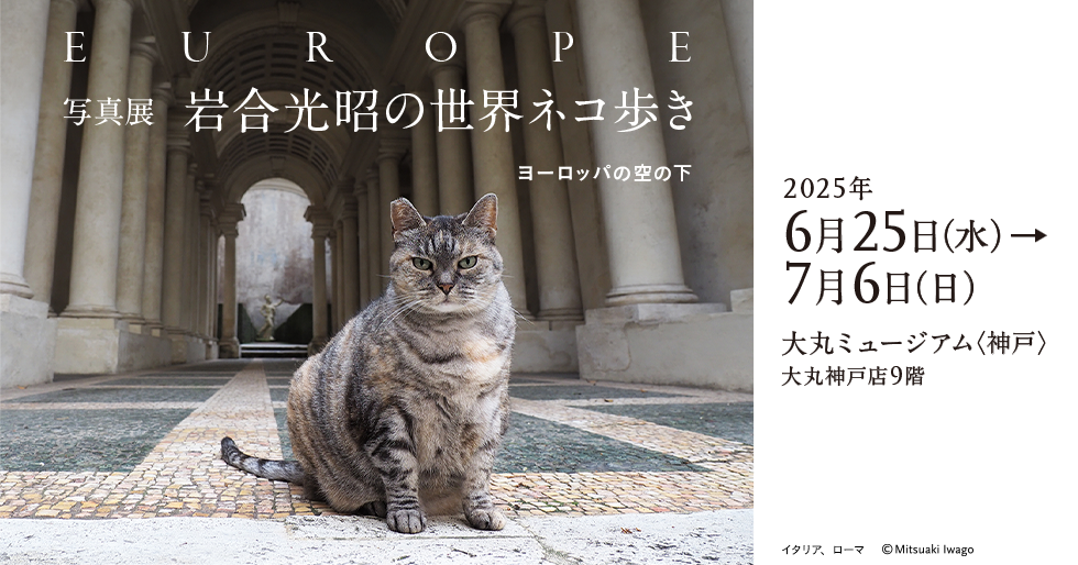 写真展「岩合光昭の世界ネコ歩き　ヨーロッパの空の下」