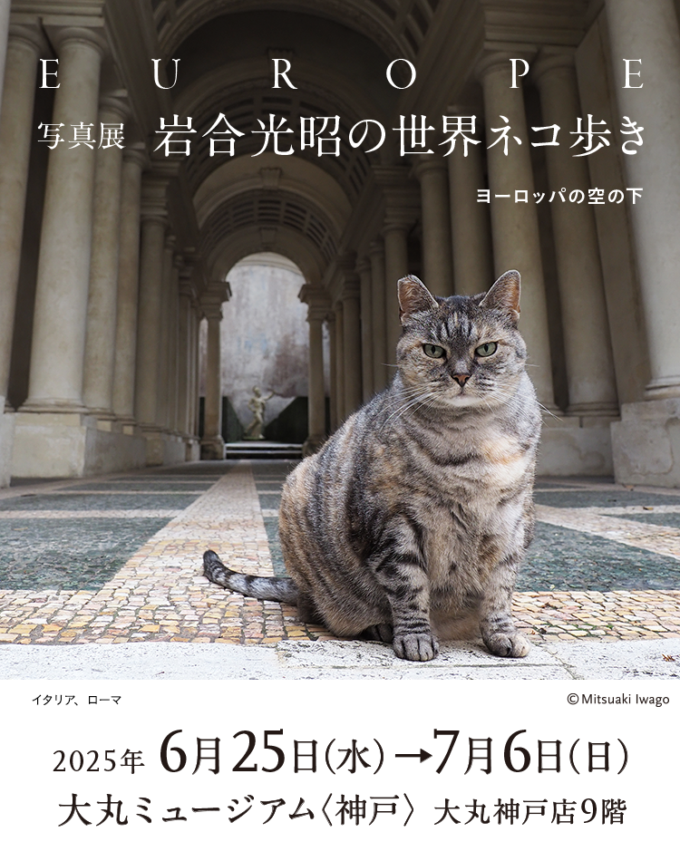 写真展「岩合光昭の世界ネコ歩き　ヨーロッパの空の下」