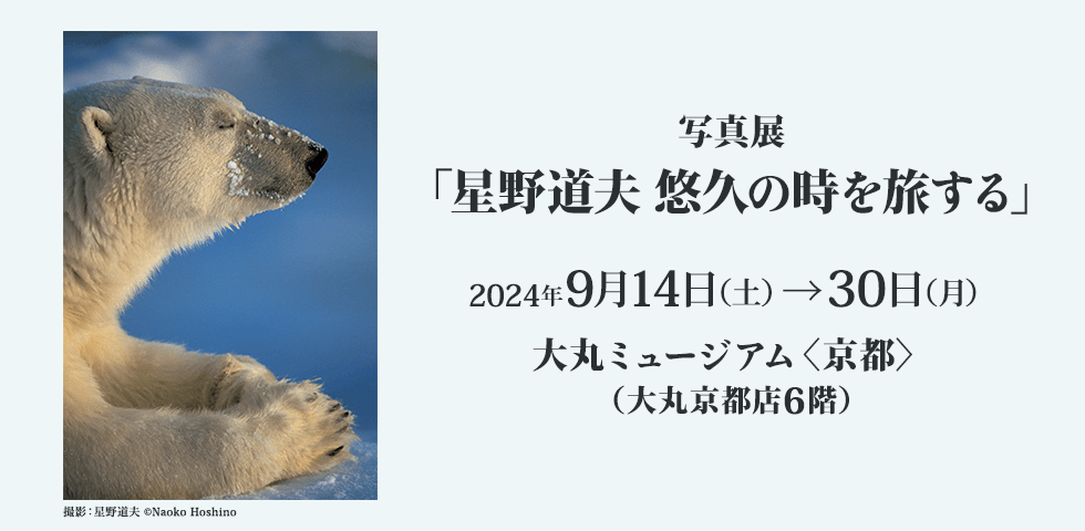 写真展「星野道夫 悠久の時を旅する」