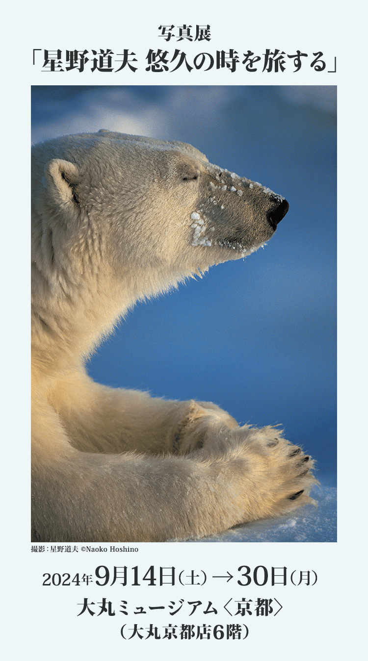 写真展「星野道夫 悠久の時を旅する」