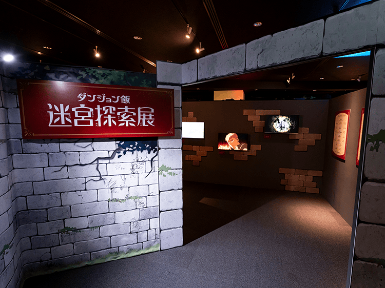 展示画像