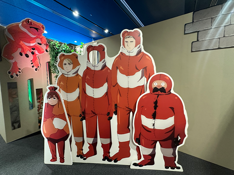展示画像