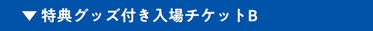 特典グッズ付き入場チケットB