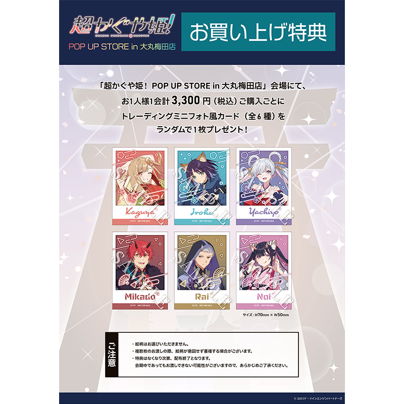 チャイロイコグマ