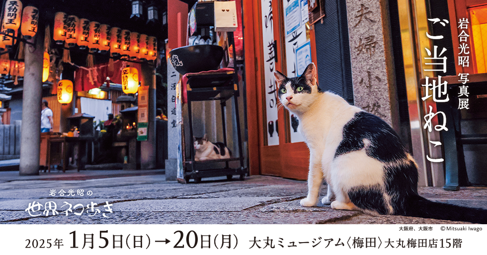 岩合光昭写真展「ご当地ねこ」