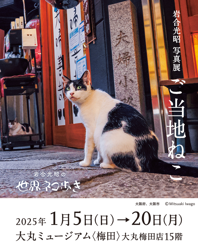 岩合光昭写真展「ご当地ねこ」