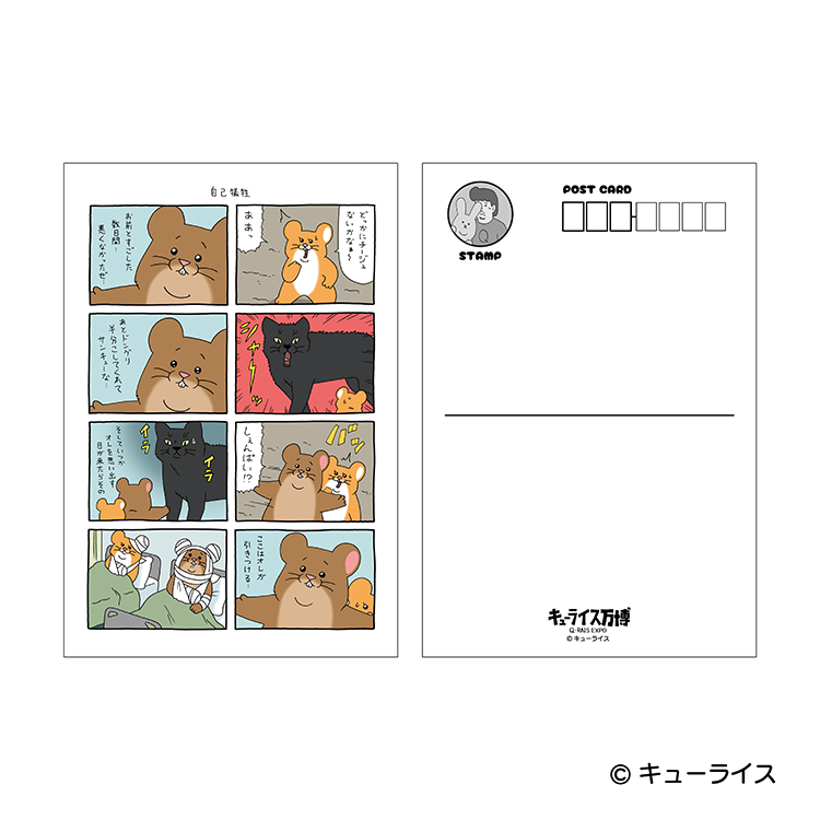 ポストカード　スキネズミ　シェンパイ