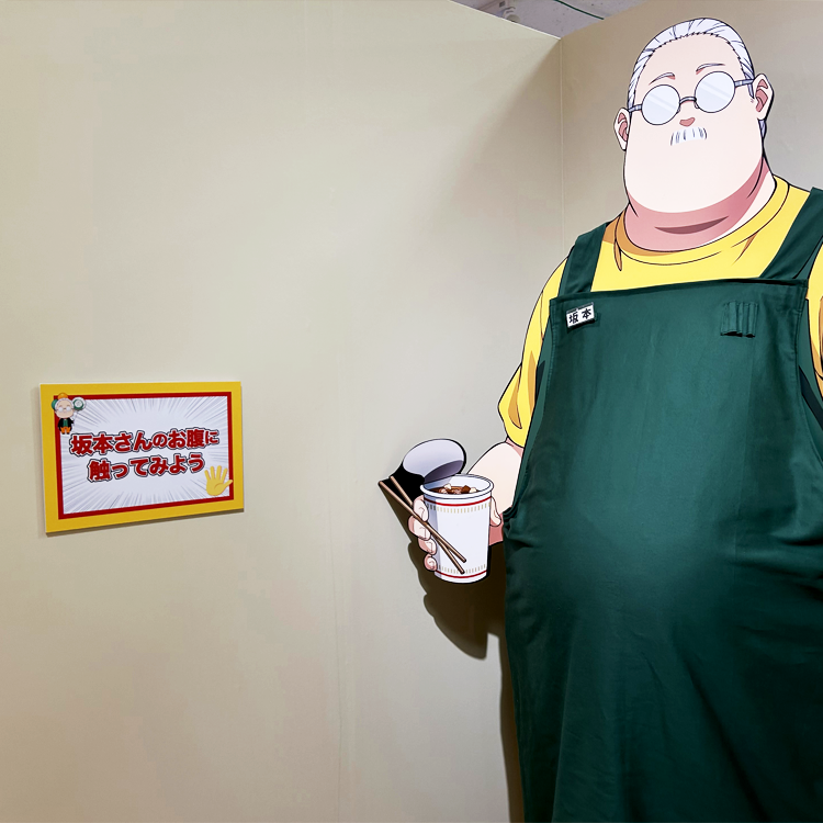 展示画像