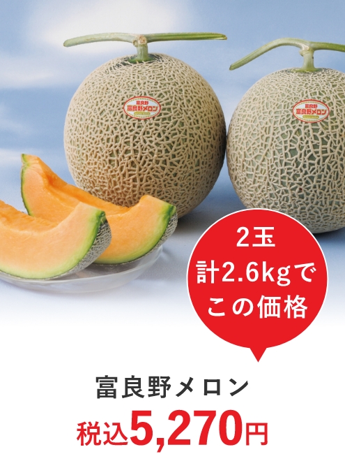 2玉計2.6kgでこの価格 富良野メロン 税込5,270円