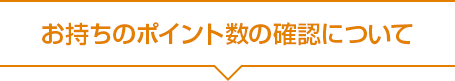 現金以外でもクレジットカードなどでのお支払いでもOK。※大丸・松坂屋のクレジッカード等は併用できません。